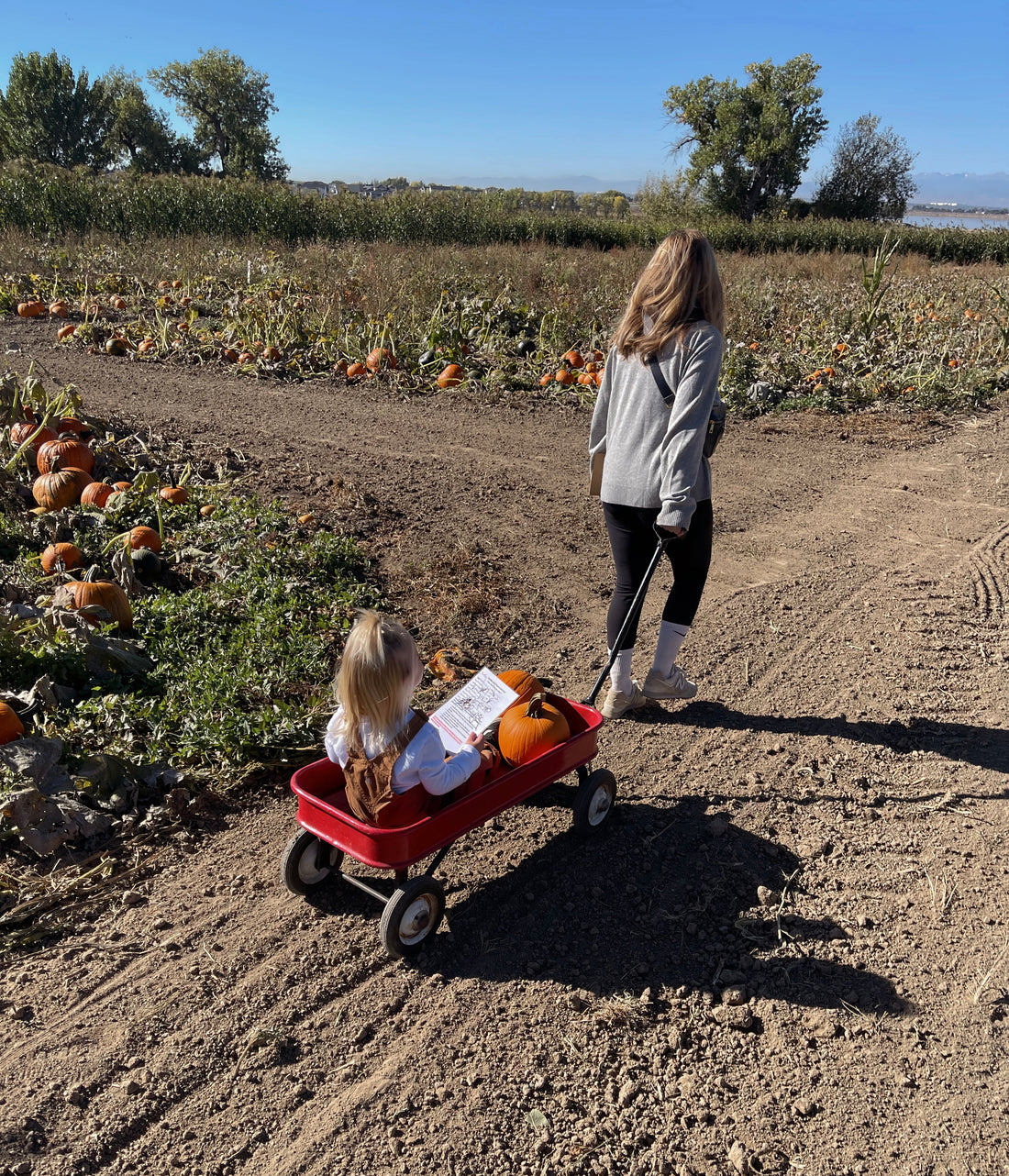 Family Fall Bucket List